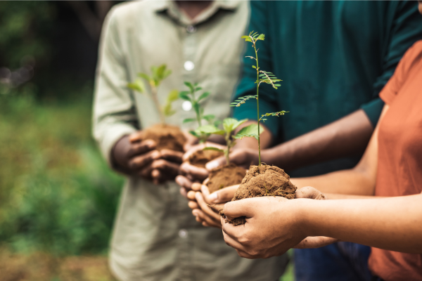 Projeto socioambiental